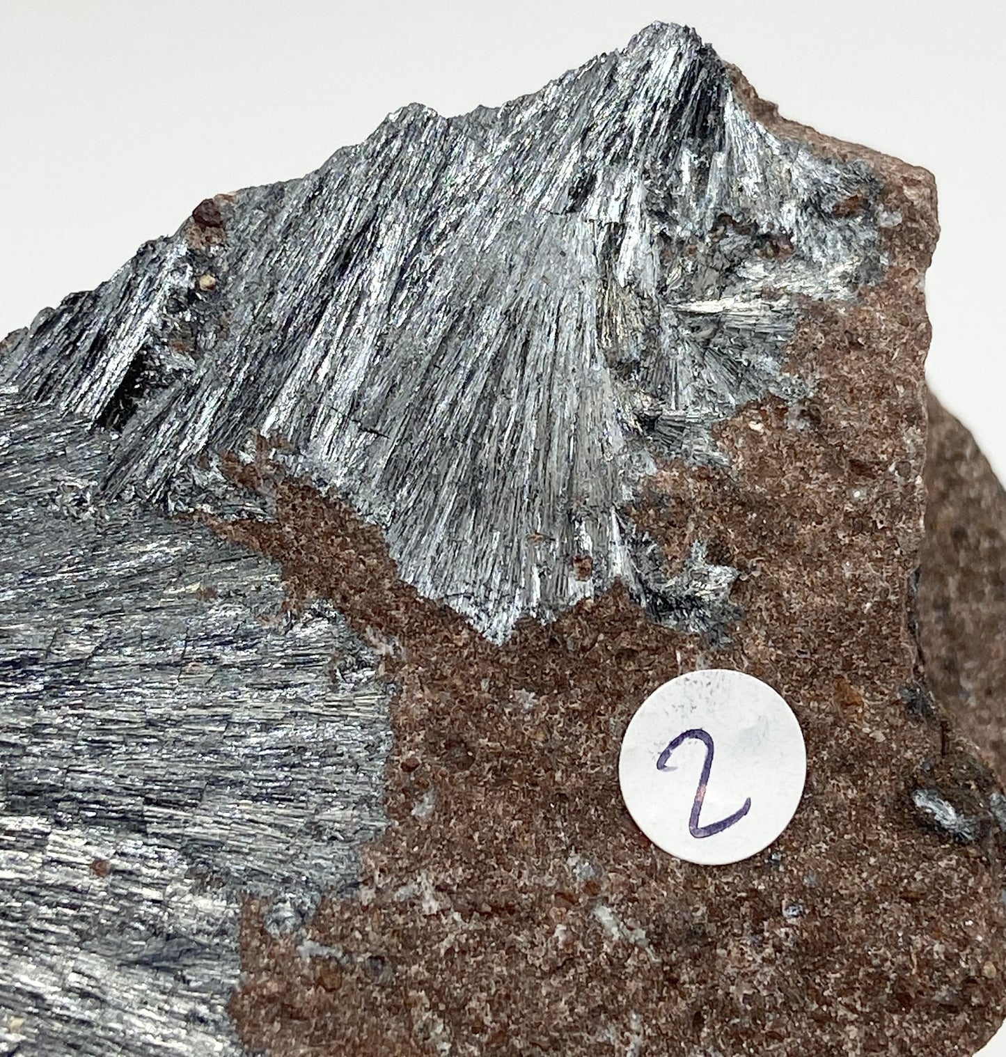 Pyrolusite Medium From Morocco 🇲🇦