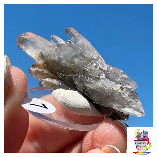 Black Vera Cruz from Piedra Parada, Veracruz, Mexico 🇲🇽 #7 - Small