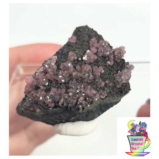 Rare Gem Rhodochrosite Pink DT Flowers From Potisi Mine, Francisco, Santa Eulalia, Chihuahua, Mexico 🇲🇽 #7