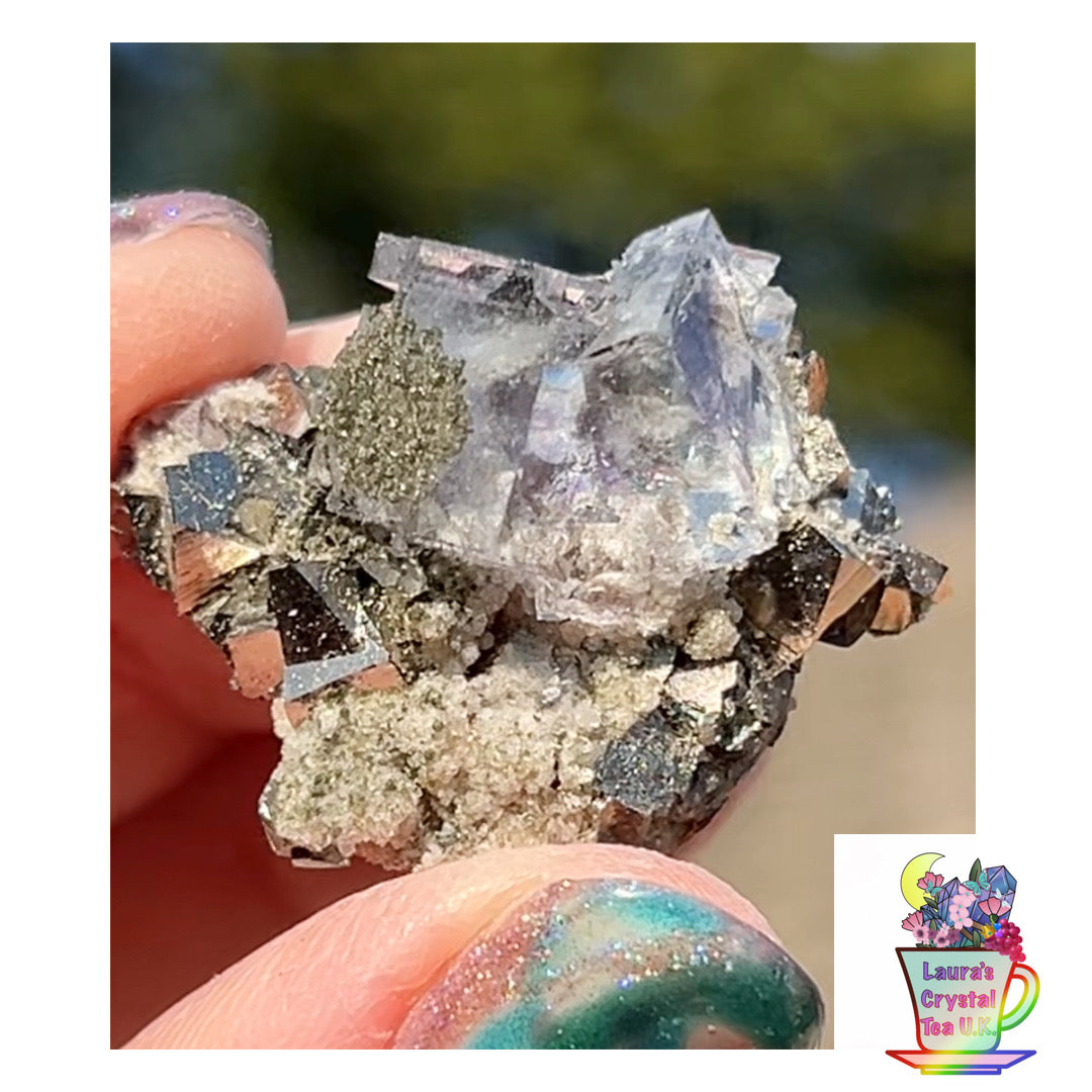 Rare YGX Rutile Glass Clear Fluorite w/ Black Rutile Twin On Wolframite, Muscovite & Chalcopyrite From Yao Gang Xian Mine, Chenzhou, Hunan, China 🇨🇳 #16