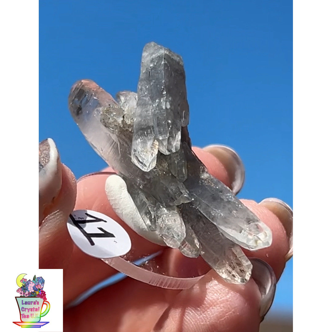 Black Vera Cruz from Piedra Parada, Veracruz, Mexico 🇲🇽 #11 - Small