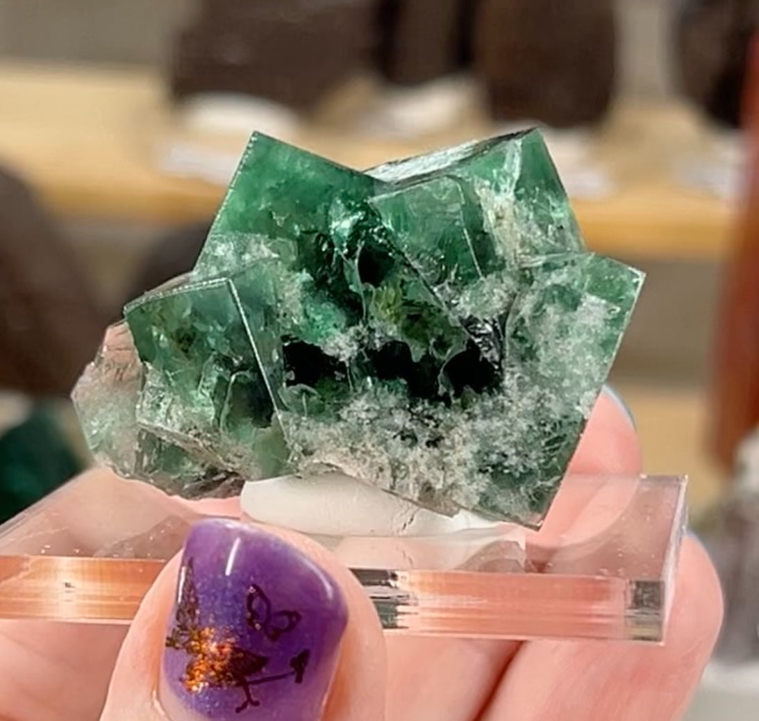 Geist Direct Claims 1st & 2nd November 2025 XX