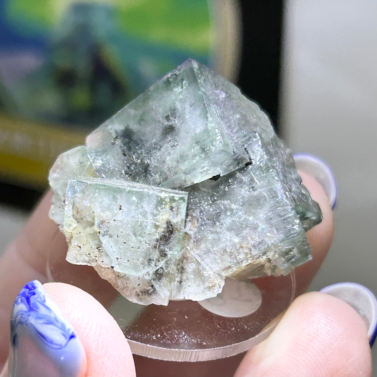 Poison Ivy Green-Yellow Fluorite Single Cubes & Clusters Small From Poison Ivy Pocket, Lady Annabella Mine, Weardale, U.K. 🇬🇧 Pick Your Specimen - Black Box