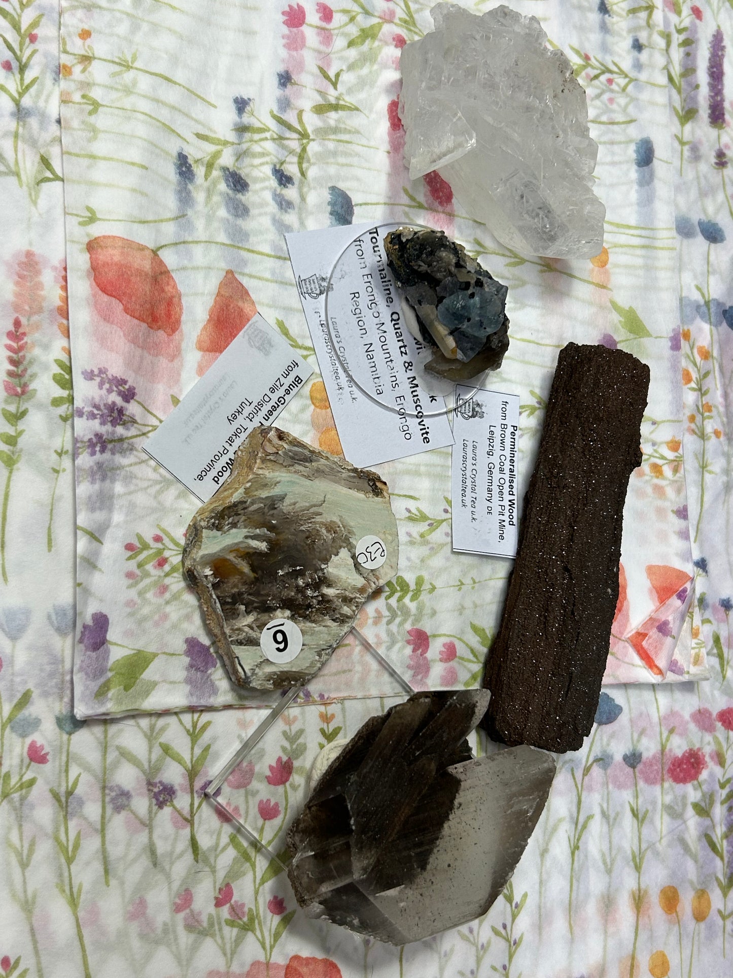 Suze Live Sales 16th December 2025