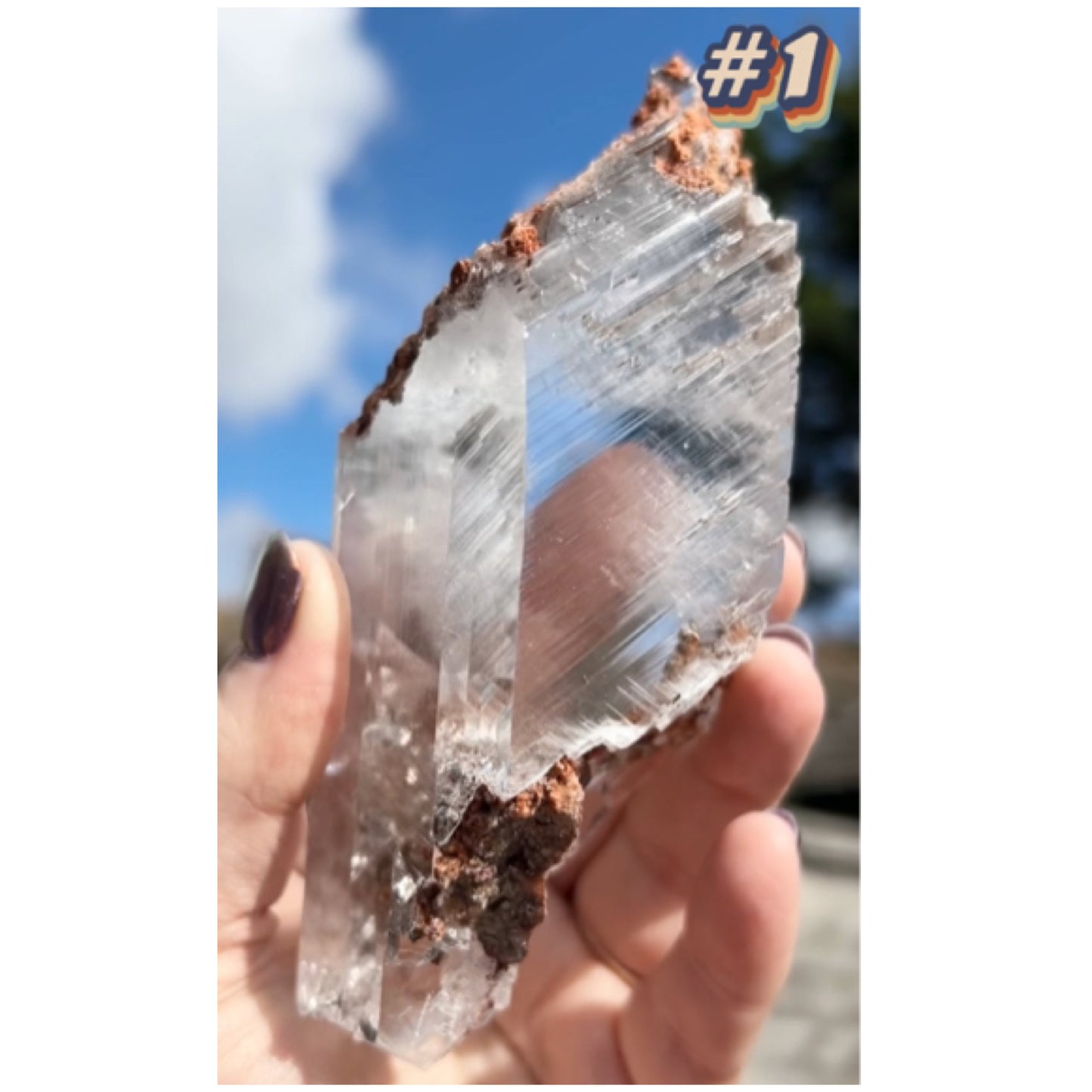 Selenite #1 Statement Piece Specimen In Display Box From Bermejillo, Durango, Mexico 🇲🇽