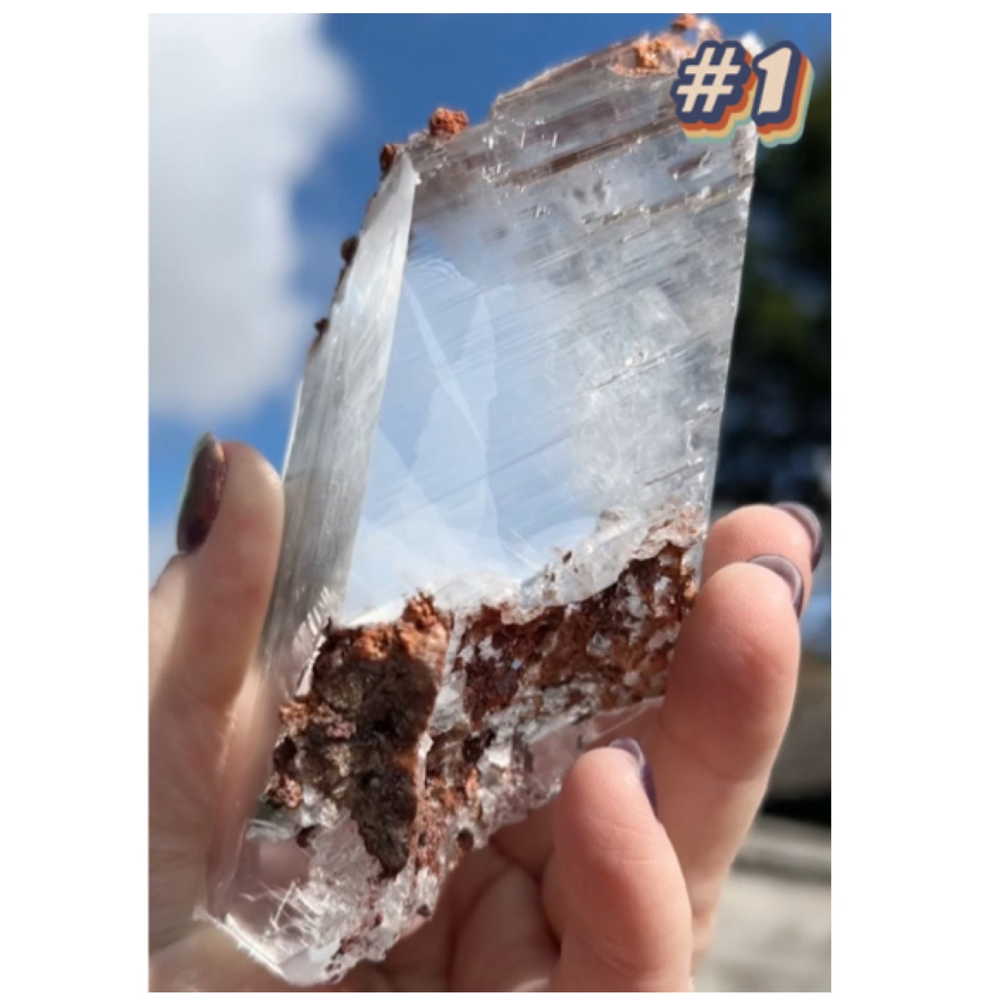 Selenite #1 Statement Piece Specimen In Display Box From Bermejillo, Durango, Mexico 🇲🇽