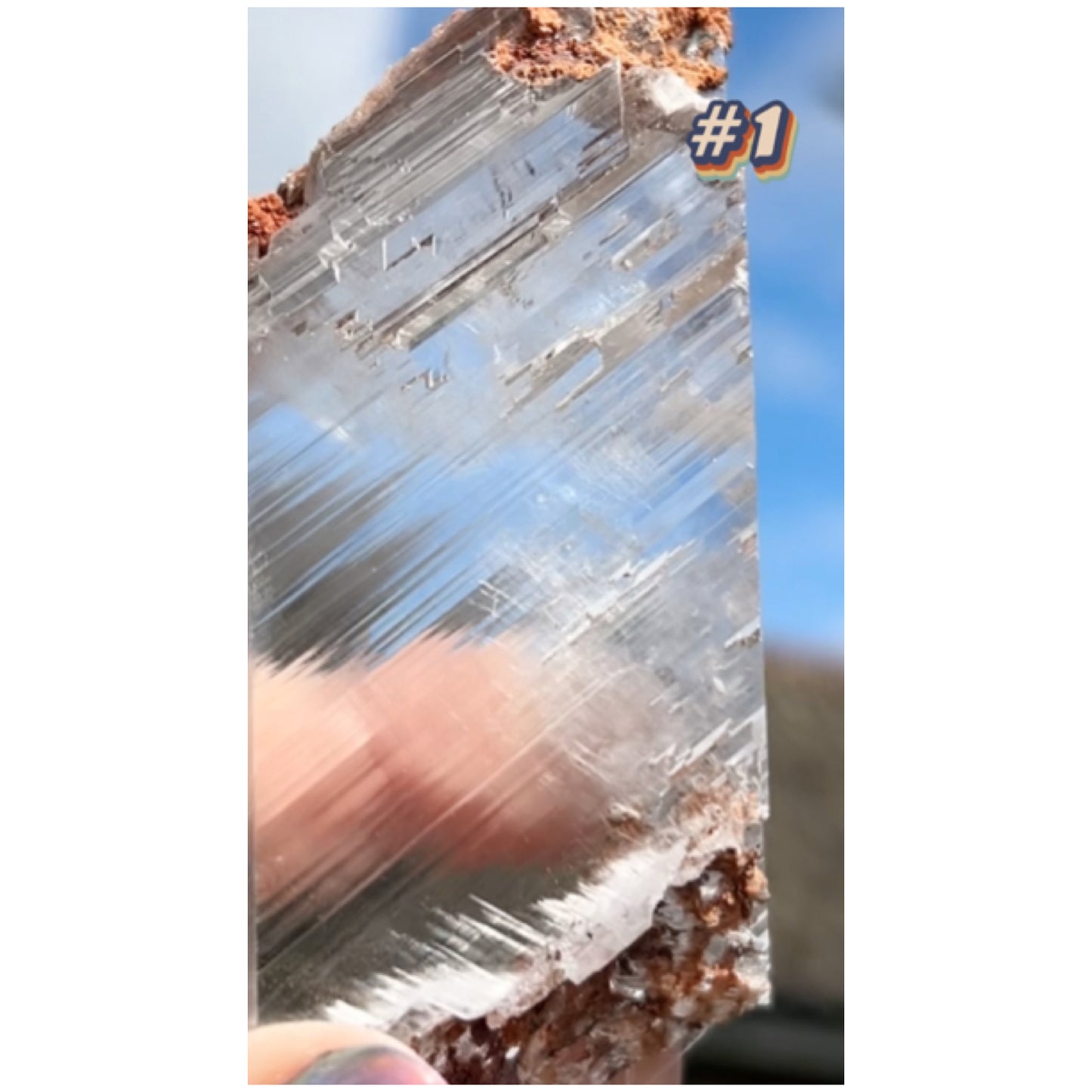 Selenite #1 Statement Piece Specimen In Display Box From Bermejillo, Durango, Mexico 🇲🇽