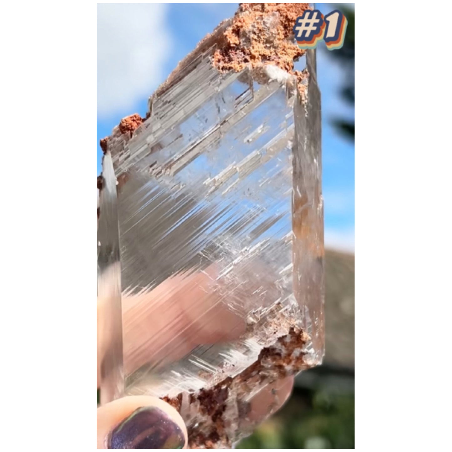 Selenite #1 Statement Piece Specimen In Display Box From Bermejillo, Durango, Mexico 🇲🇽