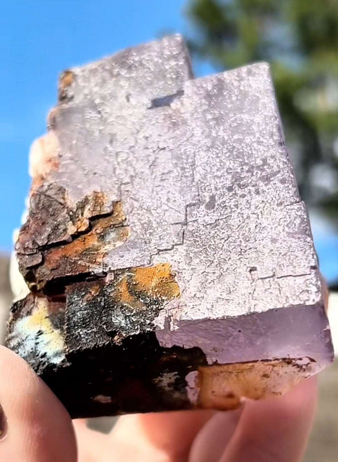 Moroccan Purple Fluorite Large Cube with Iridescent Goethite & Barite from Morocco 🇲🇦