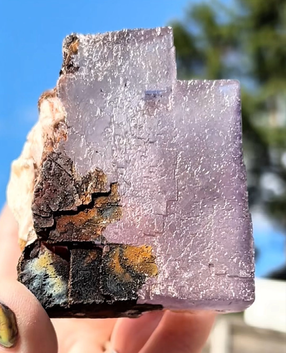 Moroccan Purple Fluorite Large Cube with Iridescent Goethite & Barite from Morocco 🇲🇦