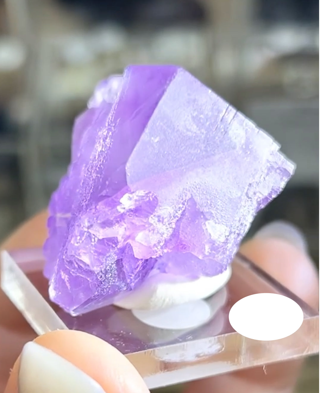 Cave-In-Rock Blue-Purple Fluorite from Closed Mine, Cave-in-Rock, Illinois, USA 🇺🇸 Pick Your Specimen