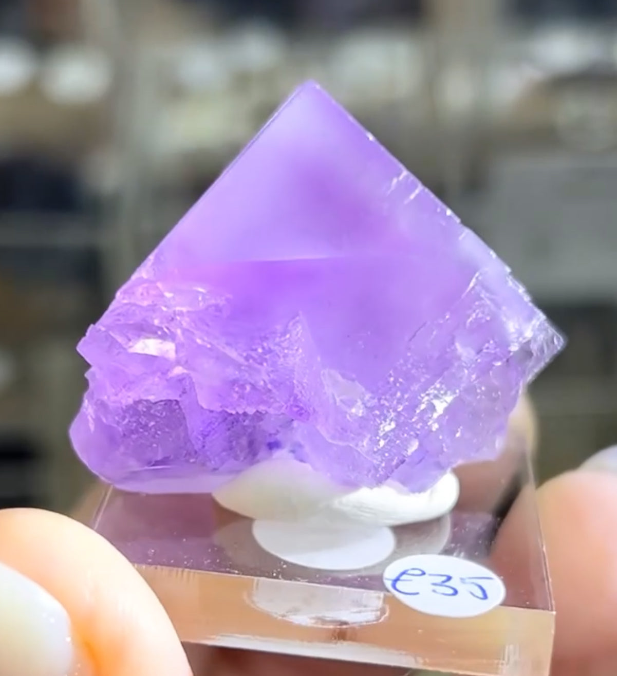 Cave-In-Rock Blue-Purple Fluorite from Closed Mine, Cave-in-Rock, Illinois, USA 🇺🇸 Pick Your Specimen