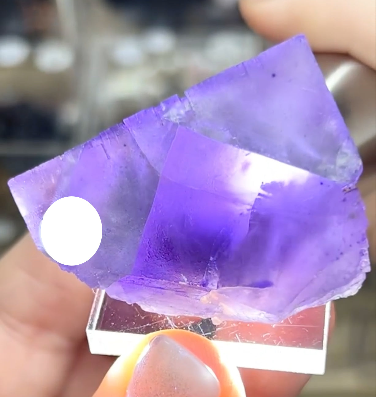 Cave-In-Rock Blue-Purple Fluorite from Closed Mine, Cave-in-Rock, Illinois, USA 🇺🇸 Pick Your Specimen