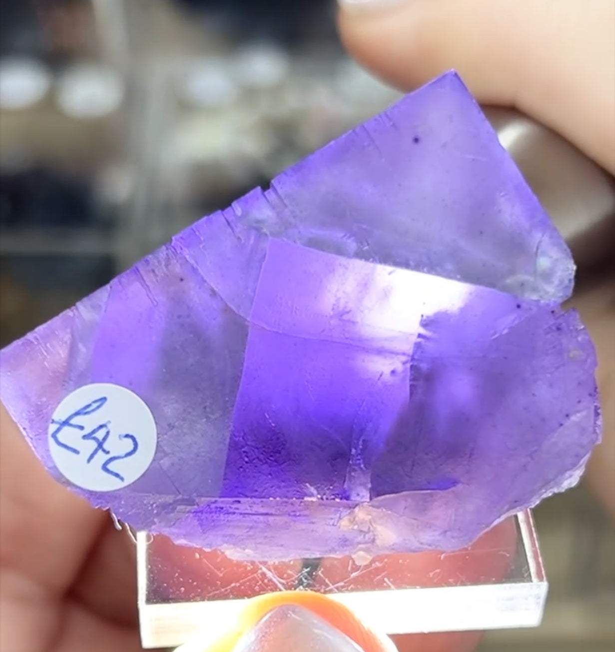 Cave-In-Rock Blue-Purple Fluorite from Closed Mine, Cave-in-Rock, Illinois, USA 🇺🇸 Pick Your Specimen