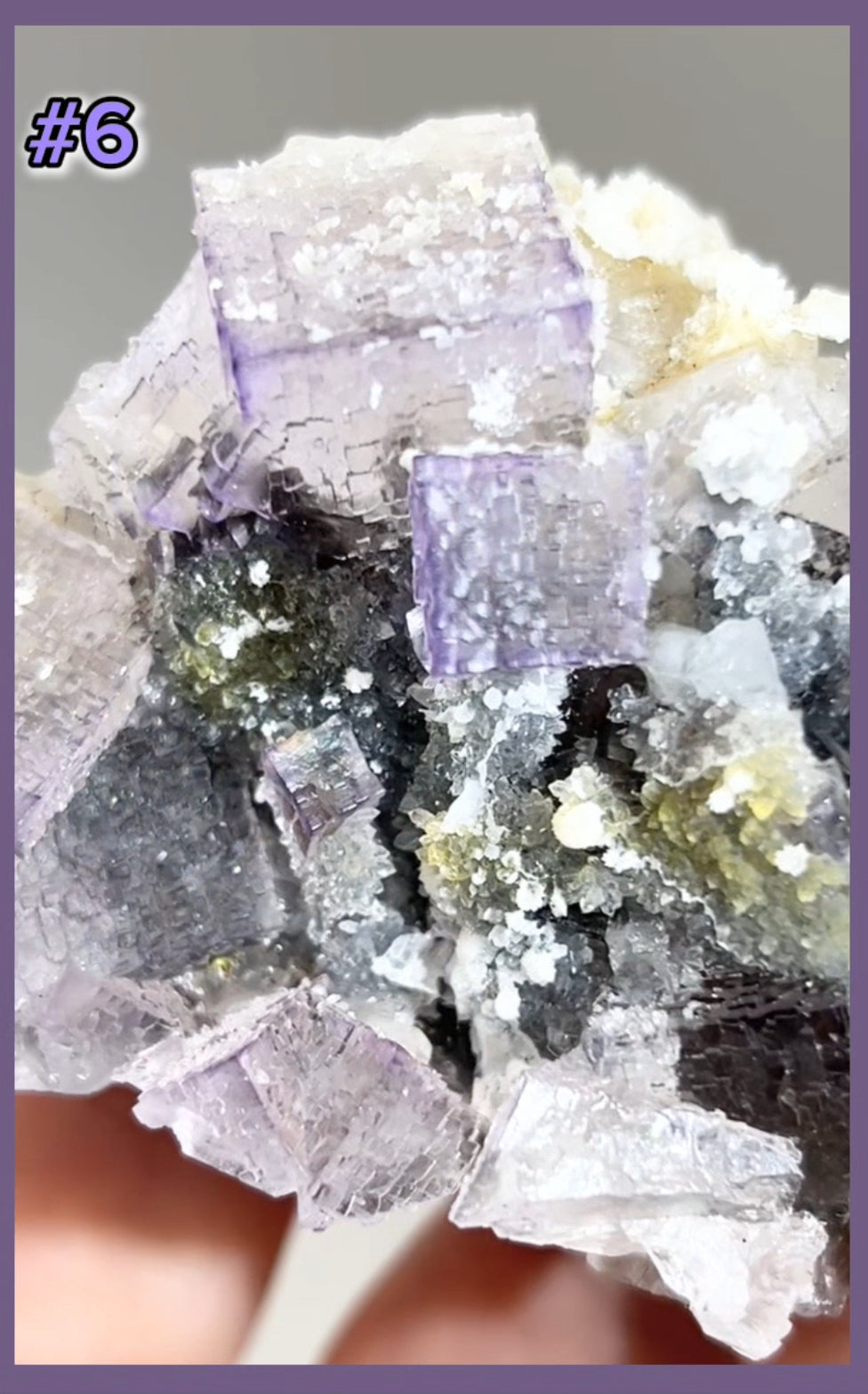 El Filo Fluorite #6 White-Purple Fluorite from El Filo Mine, Mapaimi, Durango, México 🇲🇽