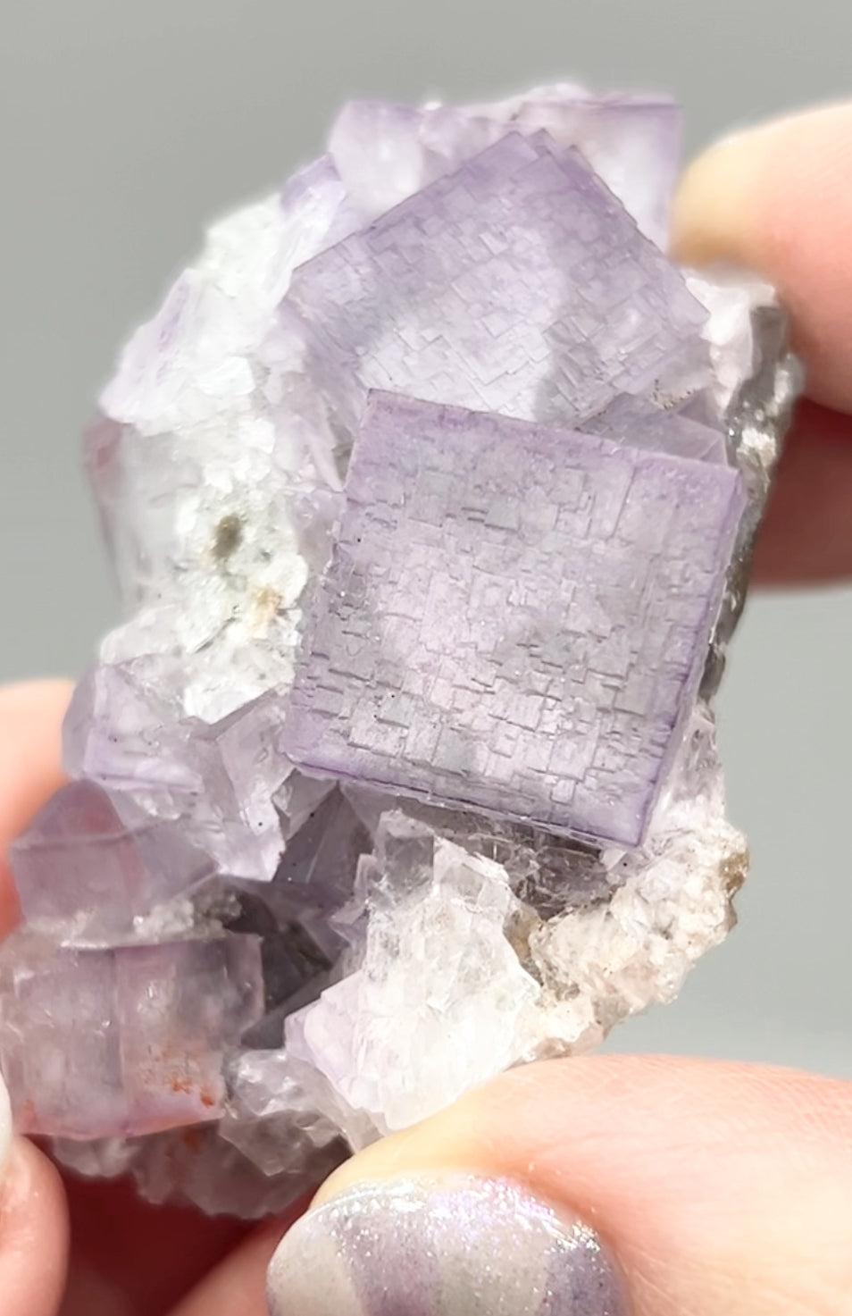 El Filo Fluorite #8 White-Purple Fluorite from El Filo Mine, Mapaimi, Durango, México 🇲🇽