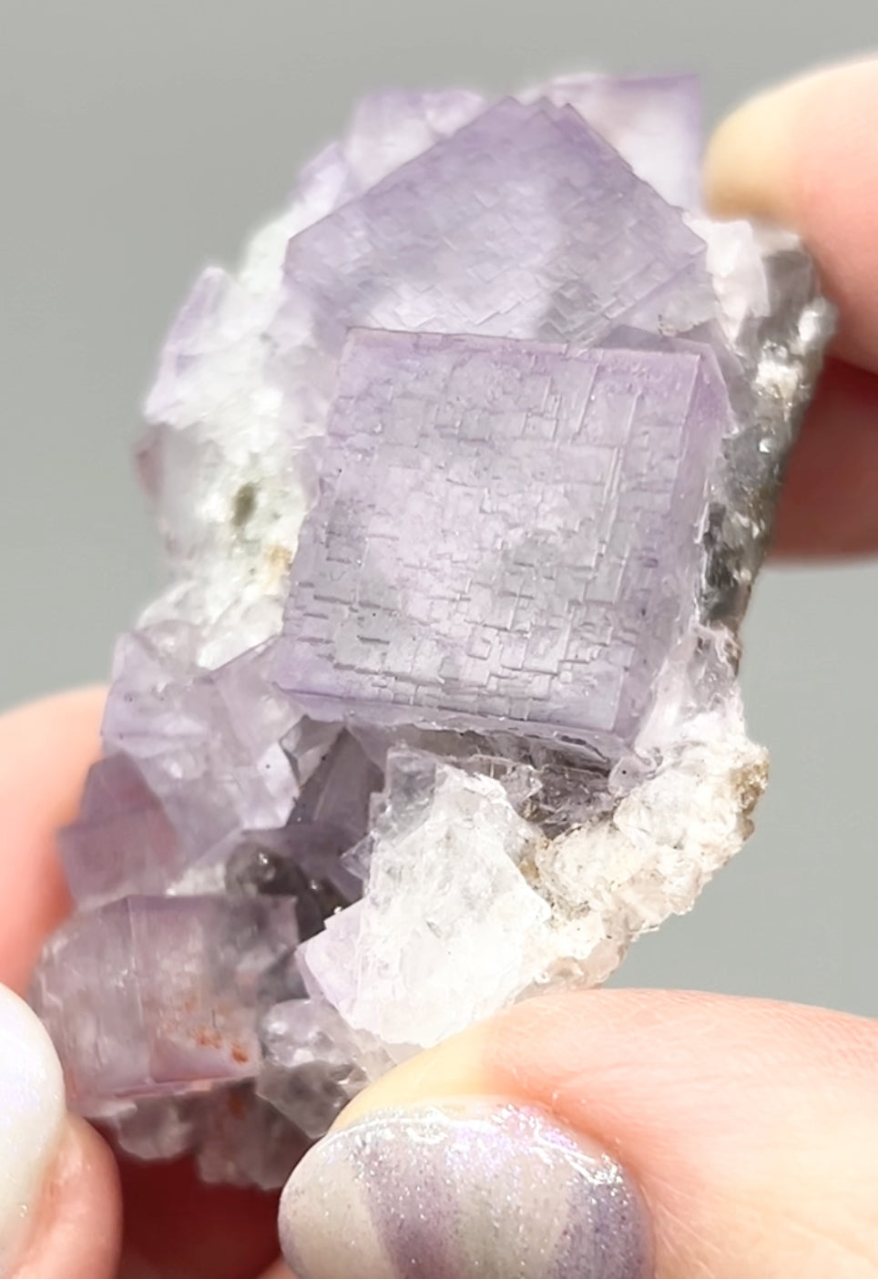El Filo Fluorite #8 White-Purple Fluorite from El Filo Mine, Mapaimi, Durango, México 🇲🇽