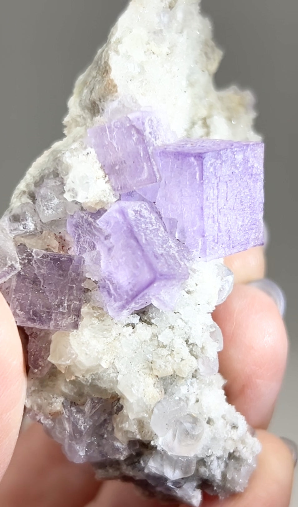 El Filo Fluorite #7 White-Purple Fluorite from El Filo Mine, Mapaimi, Durango, México 🇲🇽