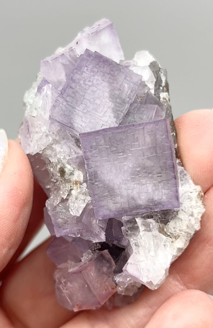 El Filo Fluorite #8 White-Purple Fluorite from El Filo Mine, Mapaimi, Durango, México 🇲🇽