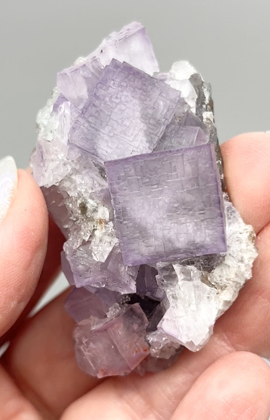 El Filo Fluorite #8 White-Purple Fluorite from El Filo Mine, Mapaimi, Durango, México 🇲🇽