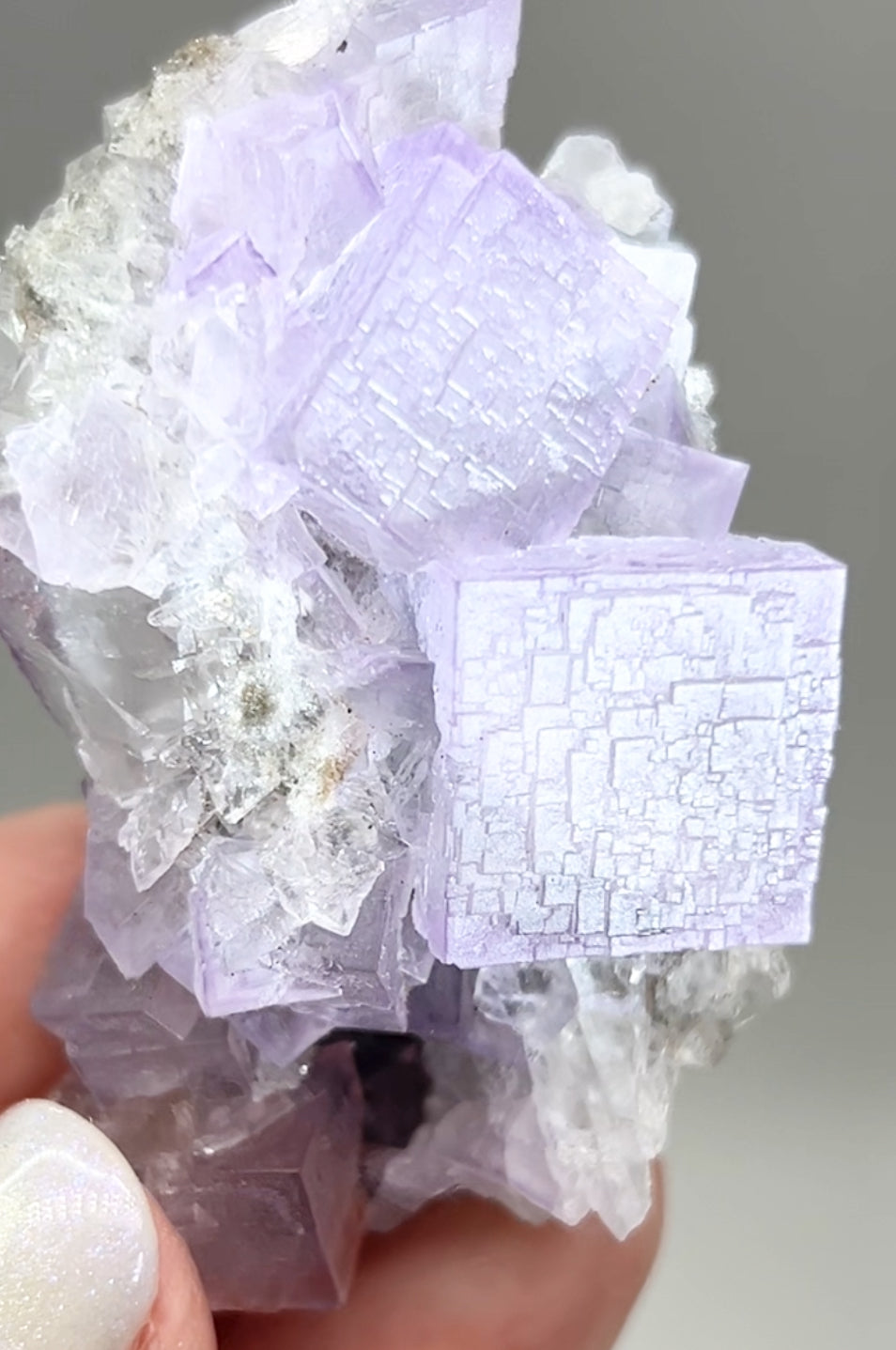 El Filo Fluorite #8 White-Purple Fluorite from El Filo Mine, Mapaimi, Durango, México 🇲🇽