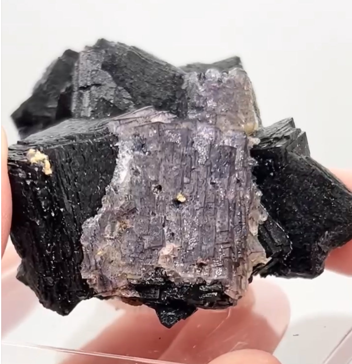 ‘Black Jack’ Blue John Fluorite #5 from Old Tor Mine, National Trust Property, Castleton, High Peak, Derbyshire, U.K. 🇬🇧 Independently Mined in 1980s - Closed Mine