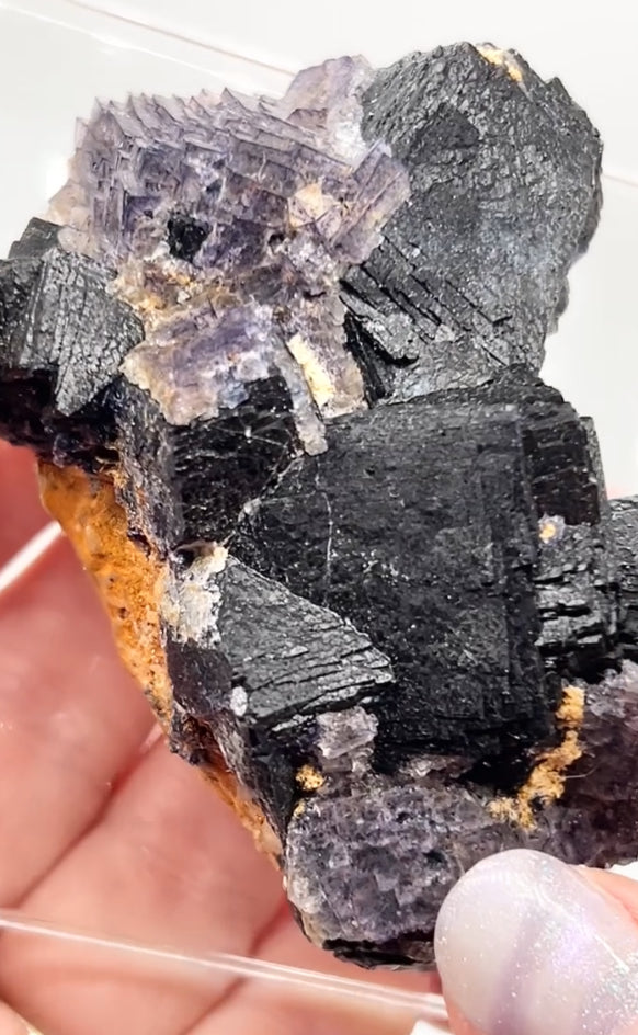 ‘Black Jack’ Blue John Fluorite #5 from Old Tor Mine, National Trust Property, Castleton, High Peak, Derbyshire, U.K. 🇬🇧 Independently Mined in 1980s - Closed Mine