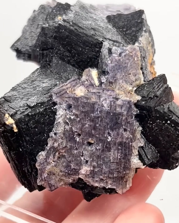 ‘Black Jack’ Blue John Fluorite #5 from Old Tor Mine, National Trust Property, Castleton, High Peak, Derbyshire, U.K. 🇬🇧 Independently Mined in 1980s - Closed Mine