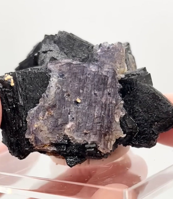 ‘Black Jack’ Blue John Fluorite #5 from Old Tor Mine, National Trust Property, Castleton, High Peak, Derbyshire, U.K. 🇬🇧 Independently Mined in 1980s - Closed Mine