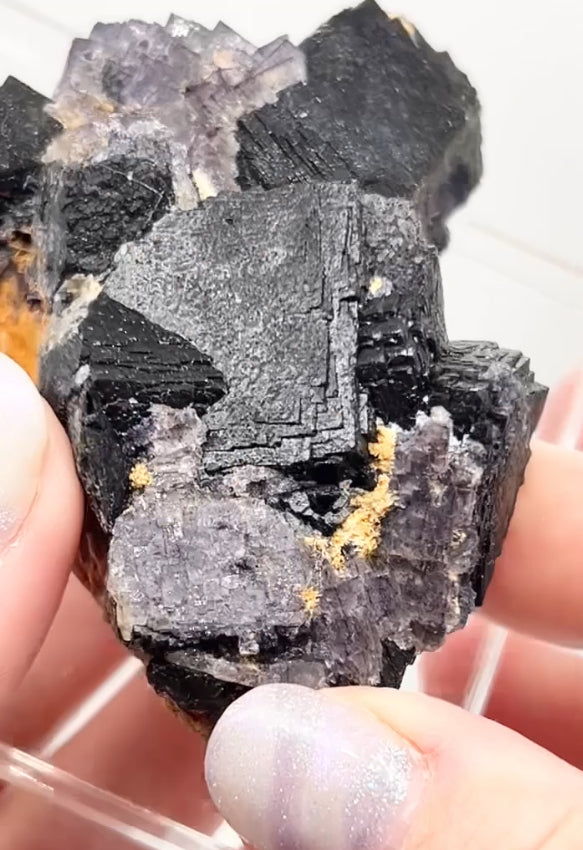 ‘Black Jack’ Blue John Fluorite #5 from Old Tor Mine, National Trust Property, Castleton, High Peak, Derbyshire, U.K. 🇬🇧 Independently Mined in 1980s - Closed Mine