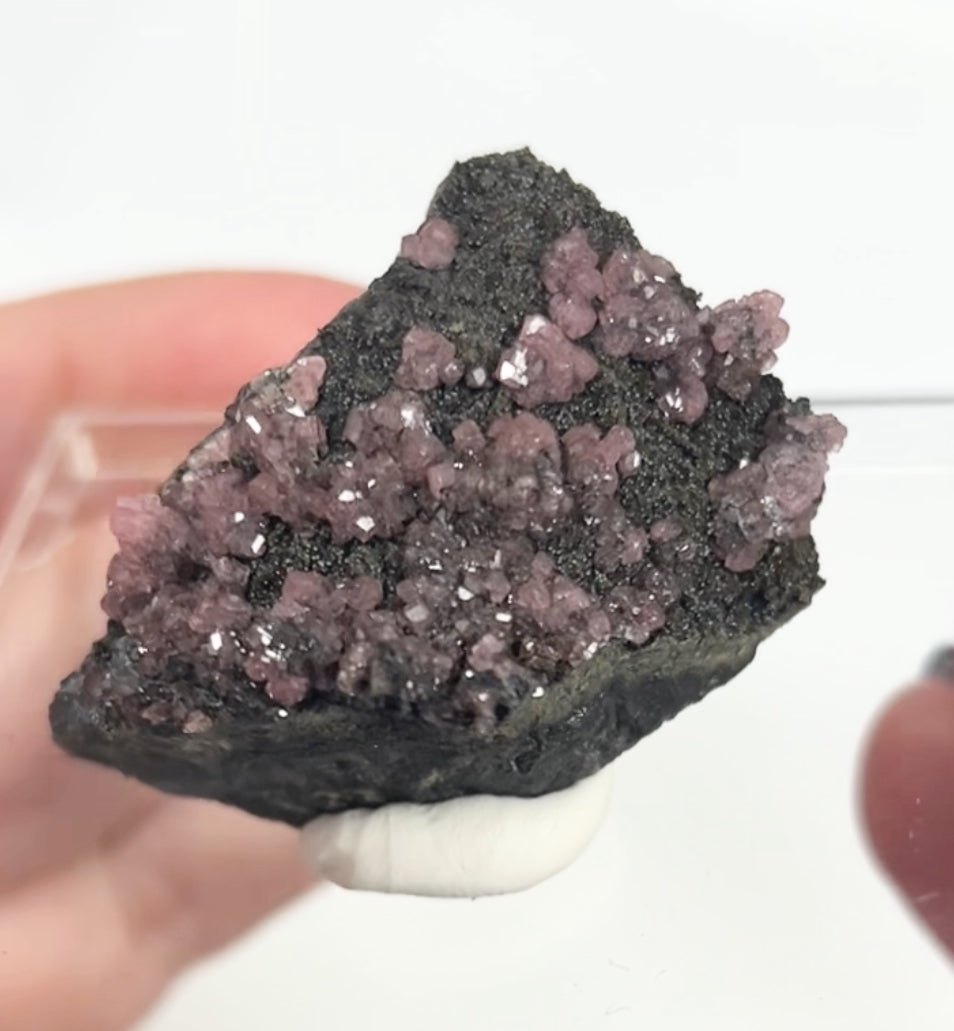 Rare Gem Rhodochrosite Pink DT Flowers From Potisi Mine, Francisco, Santa Eulalia, Chihuahua, Mexico 🇲🇽 #7