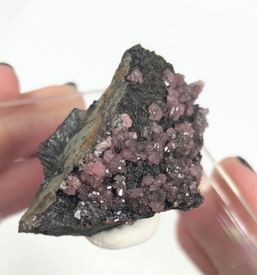 Rare Gem Rhodochrosite Pink DT Flowers From Potisi Mine, Francisco, Santa Eulalia, Chihuahua, Mexico 🇲🇽 #7