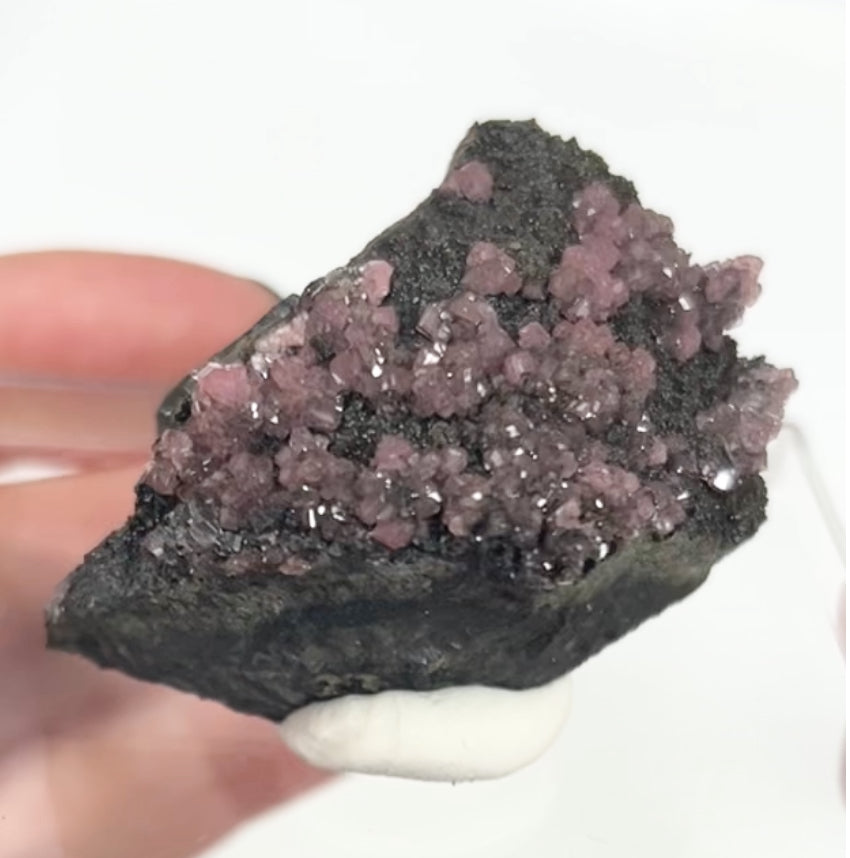 Rare Gem Rhodochrosite Pink DT Flowers From Potisi Mine, Francisco, Santa Eulalia, Chihuahua, Mexico 🇲🇽 #7