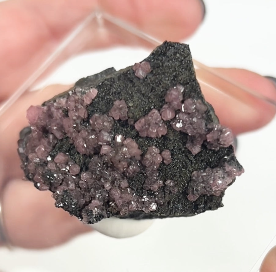 Rare Gem Rhodochrosite Pink DT Flowers From Potisi Mine, Francisco, Santa Eulalia, Chihuahua, Mexico 🇲🇽 #7