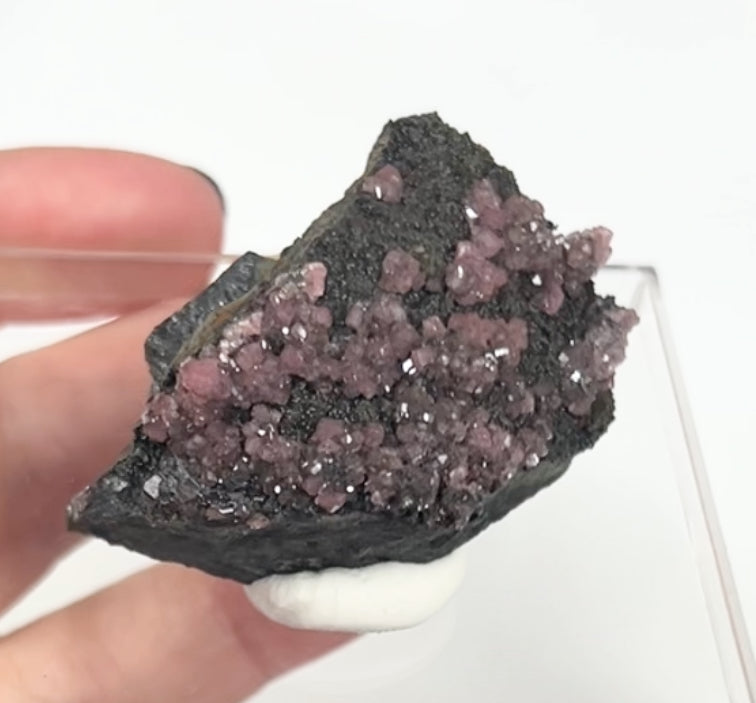 Rare Gem Rhodochrosite Pink DT Flowers From Potisi Mine, Francisco, Santa Eulalia, Chihuahua, Mexico 🇲🇽 #7