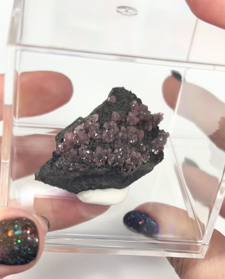 Rare Gem Rhodochrosite Pink DT Flowers From Potisi Mine, Francisco, Santa Eulalia, Chihuahua, Mexico 🇲🇽 #7