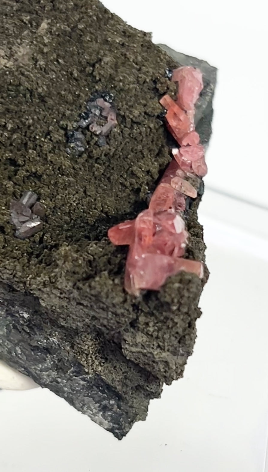 Rare Gem Rhodochrosite Salmon Pink DT From Potisi Mine, Francisco, Santa Eulalia, Chihuahua, Mexico 🇲🇽 #6