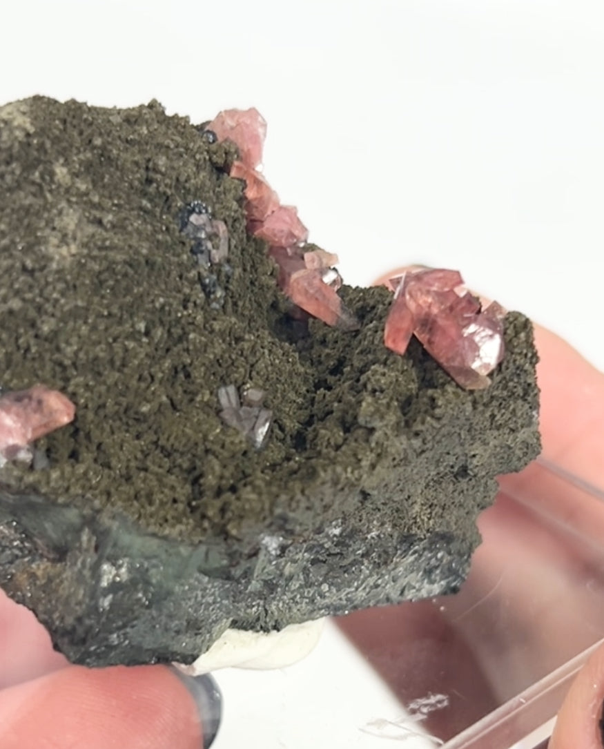Rare Gem Rhodochrosite Salmon Pink DT From Potisi Mine, Francisco, Santa Eulalia, Chihuahua, Mexico 🇲🇽 #6