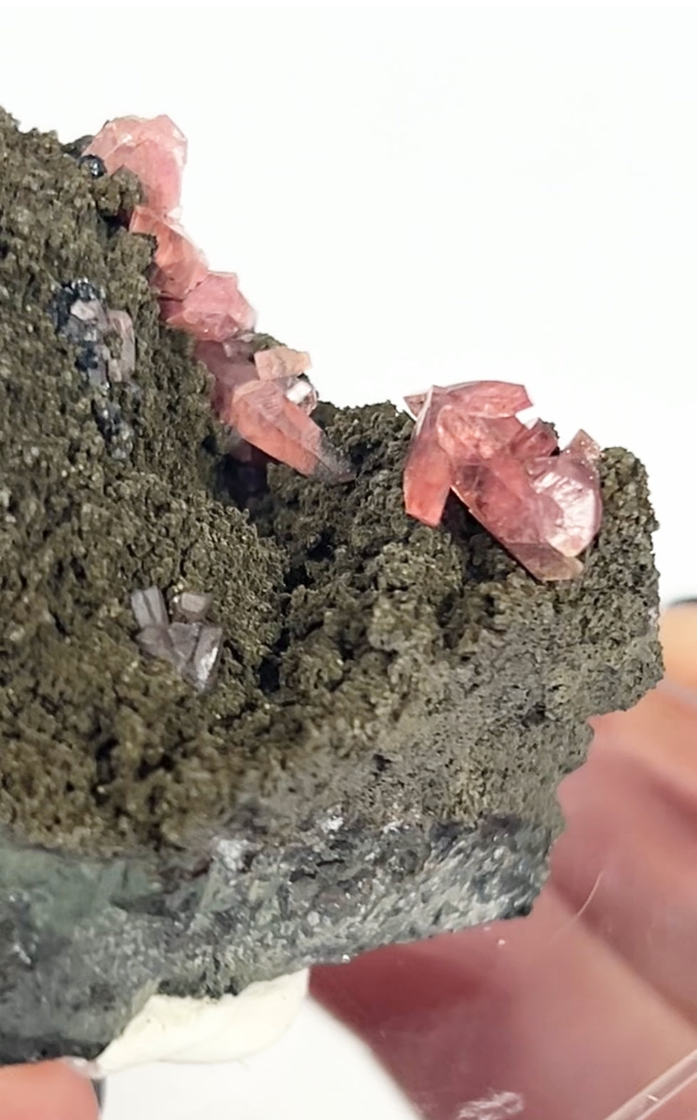 Rare Gem Rhodochrosite Salmon Pink DT From Potisi Mine, Francisco, Santa Eulalia, Chihuahua, Mexico 🇲🇽 #6