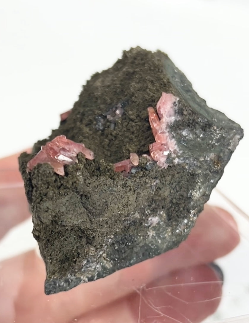 Rare Gem Rhodochrosite Salmon Pink DT From Potisi Mine, Francisco, Santa Eulalia, Chihuahua, Mexico 🇲🇽 #6