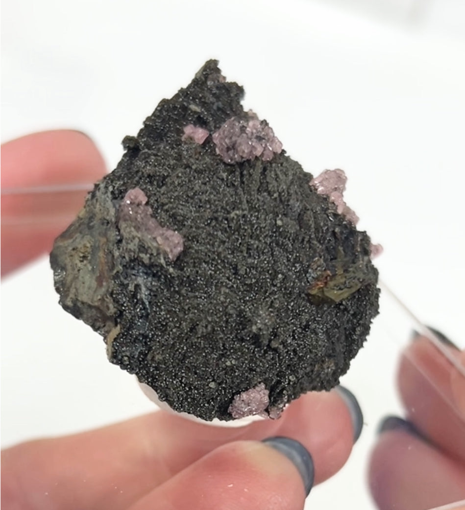 Rare Gem Rhodochrosite Pink DT Flowers From Potisi Mine, Francisco, Santa Eulalia, Chihuahua, Mexico 🇲🇽 #3