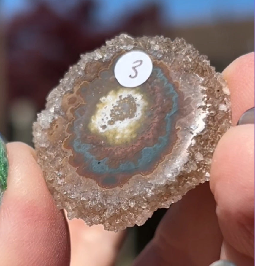Stalactite Smokey & Red Haematite Quartz Flowers #3 from Minas Gerais, Brazil 🇧🇷