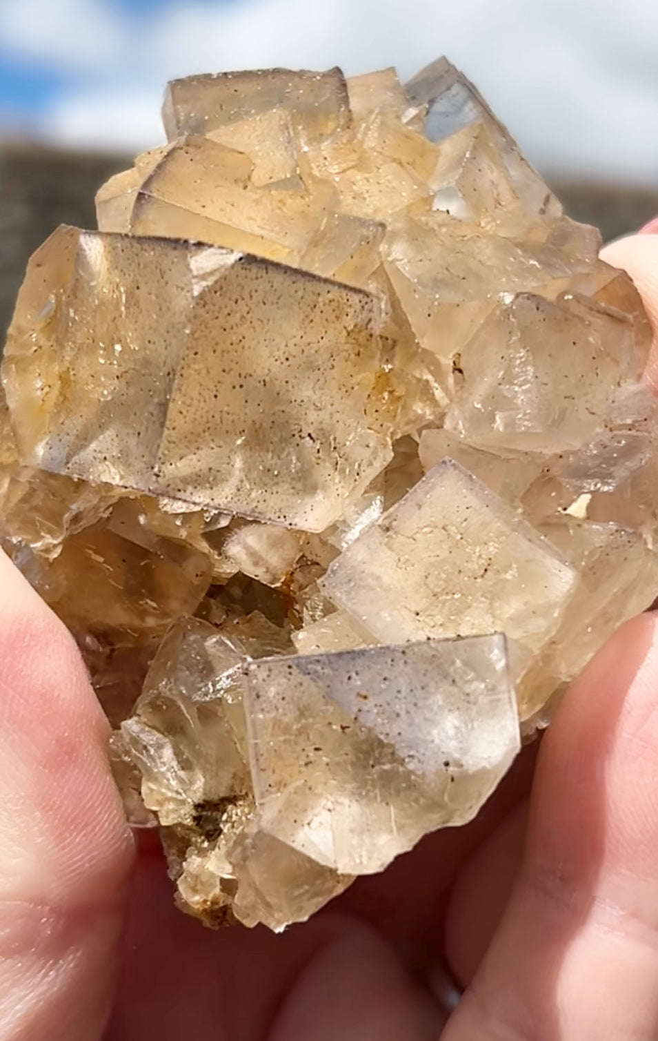Clear/ White Fluorite With Iron Inclusions & Navy Blue/ Purple plus Iron Wash Medium #1 From Paul’s Pocket, Gillhead Mine, Harrogate, North Yorkshire, U.K. 🇬🇧