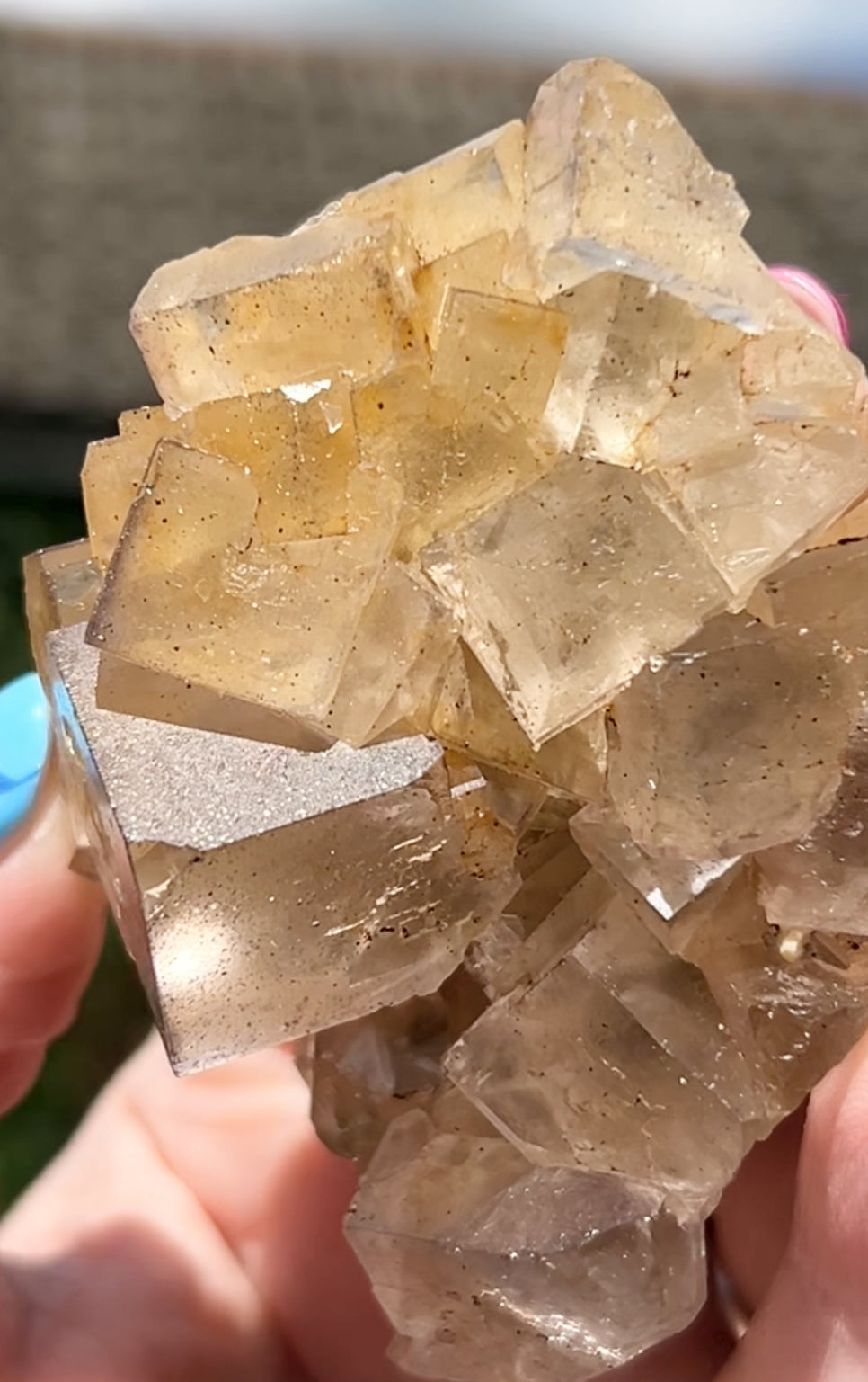 Clear/ White Fluorite With Iron Inclusions & Navy Blue/ Purple plus Iron Wash Medium #1 From Paul’s Pocket, Gillhead Mine, Harrogate, North Yorkshire, U.K. 🇬🇧