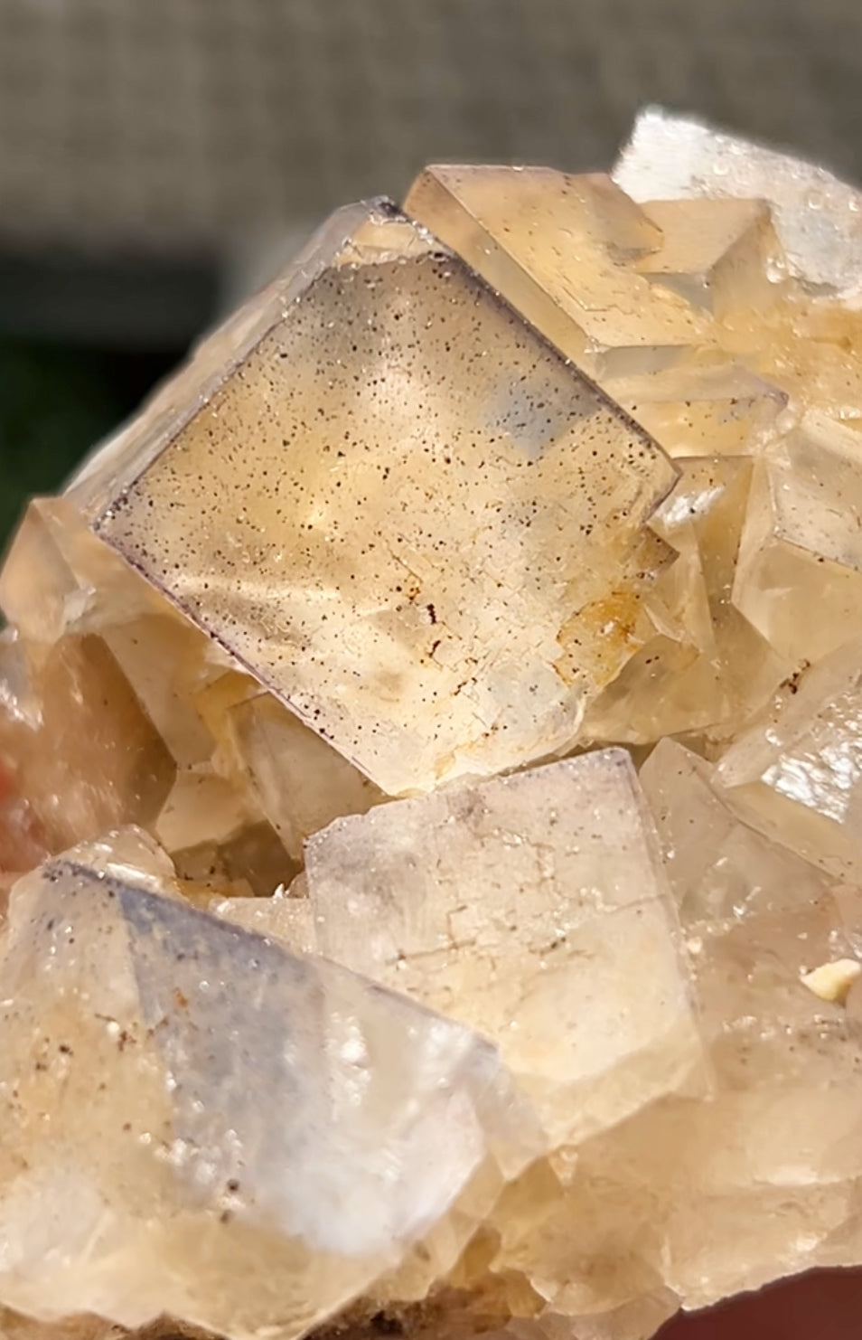 Clear/ White Fluorite With Iron Inclusions & Navy Blue/ Purple plus Iron Wash Medium #1 From Paul’s Pocket, Gillhead Mine, Harrogate, North Yorkshire, U.K. 🇬🇧