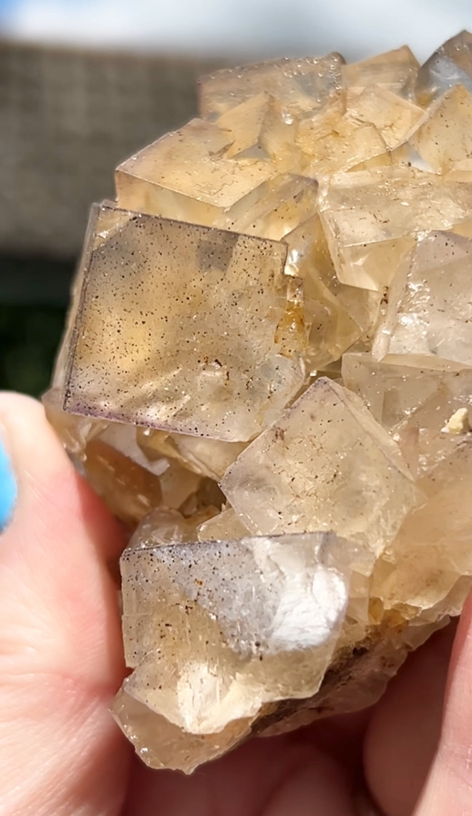 Clear/ White Fluorite With Iron Inclusions & Navy Blue/ Purple plus Iron Wash Medium #1 From Paul’s Pocket, Gillhead Mine, Harrogate, North Yorkshire, U.K. 🇬🇧