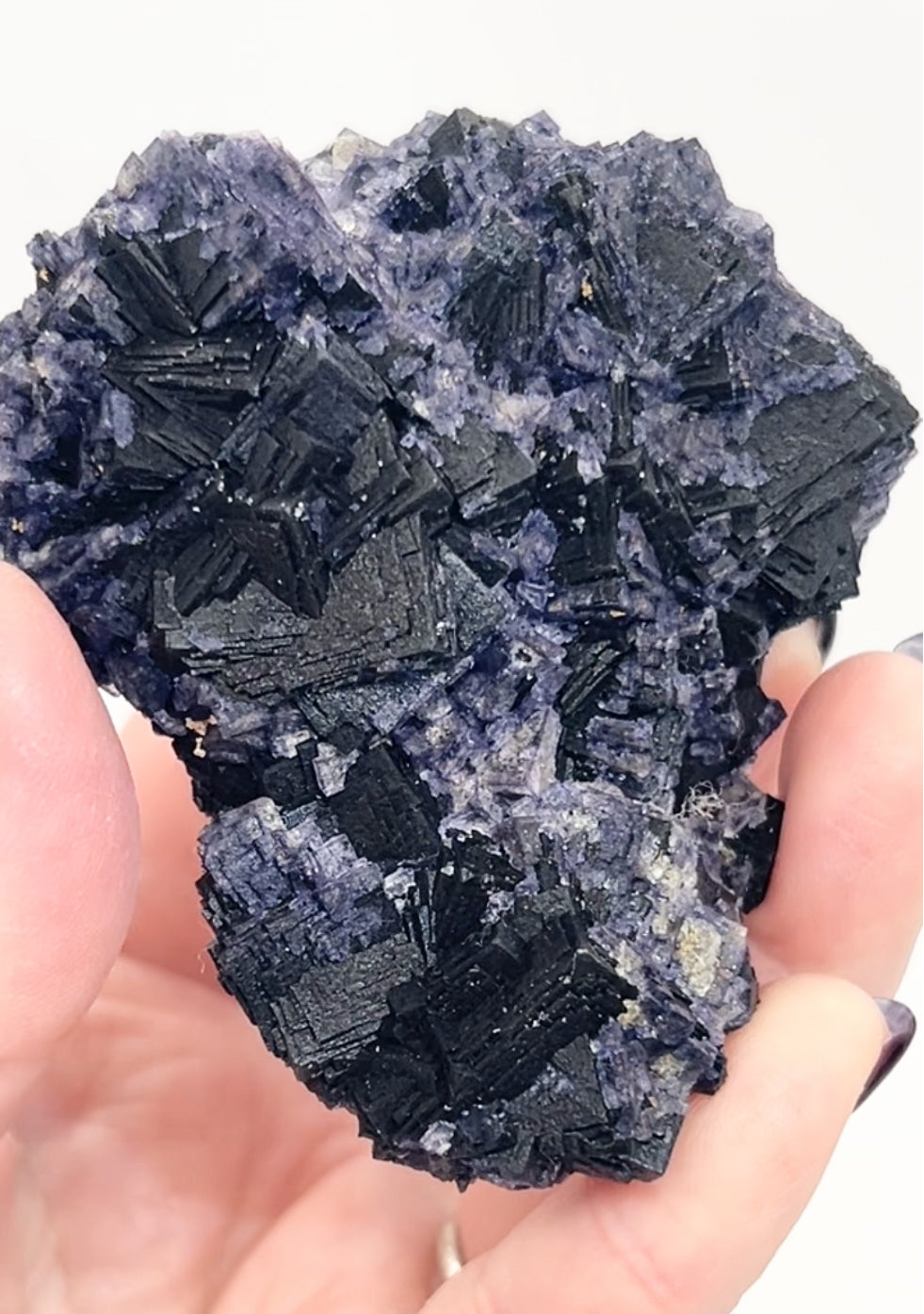 ‘Black Jack’ Blue John Fluorite #1 from Old Tor Mine, National Trust Property, Castleton, High Peak, Derbyshire, U.K. 🇬🇧 Independently Mined in 1980s - Closed Mine