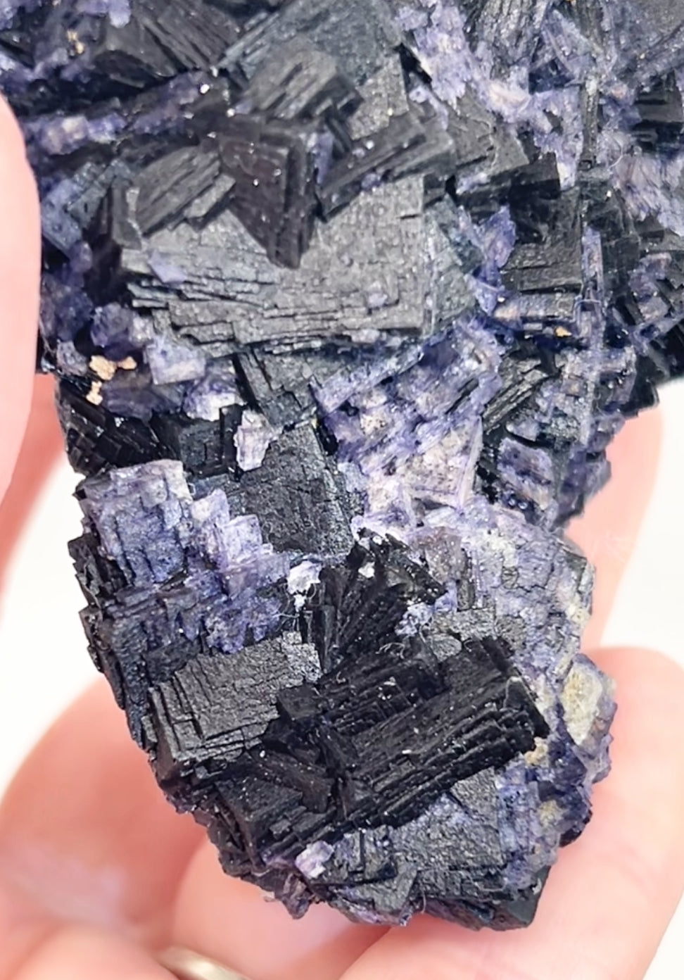 ‘Black Jack’ Blue John Fluorite #1 from Old Tor Mine, National Trust Property, Castleton, High Peak, Derbyshire, U.K. 🇬🇧 Independently Mined in 1980s - Closed Mine