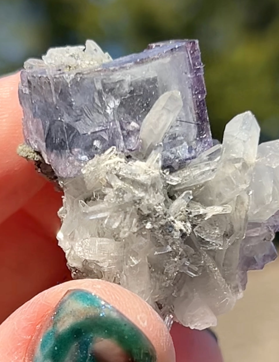 Rare YGX Rutile Blue Fluorite w/ Purple Edges & Black Rutile Twin On Chlorite Quartz From Yao Gang Xian Mine, Chenzhou, Hunan, China 🇨🇳 #2