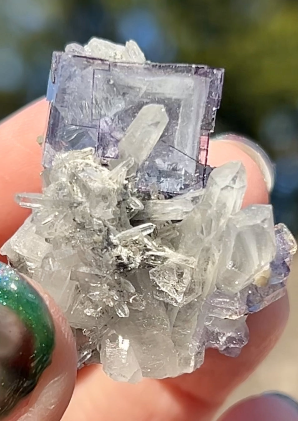 Rare YGX Rutile Blue Fluorite w/ Purple Edges & Black Rutile Twin On Chlorite Quartz From Yao Gang Xian Mine, Chenzhou, Hunan, China 🇨🇳 #2